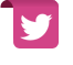 twitter link