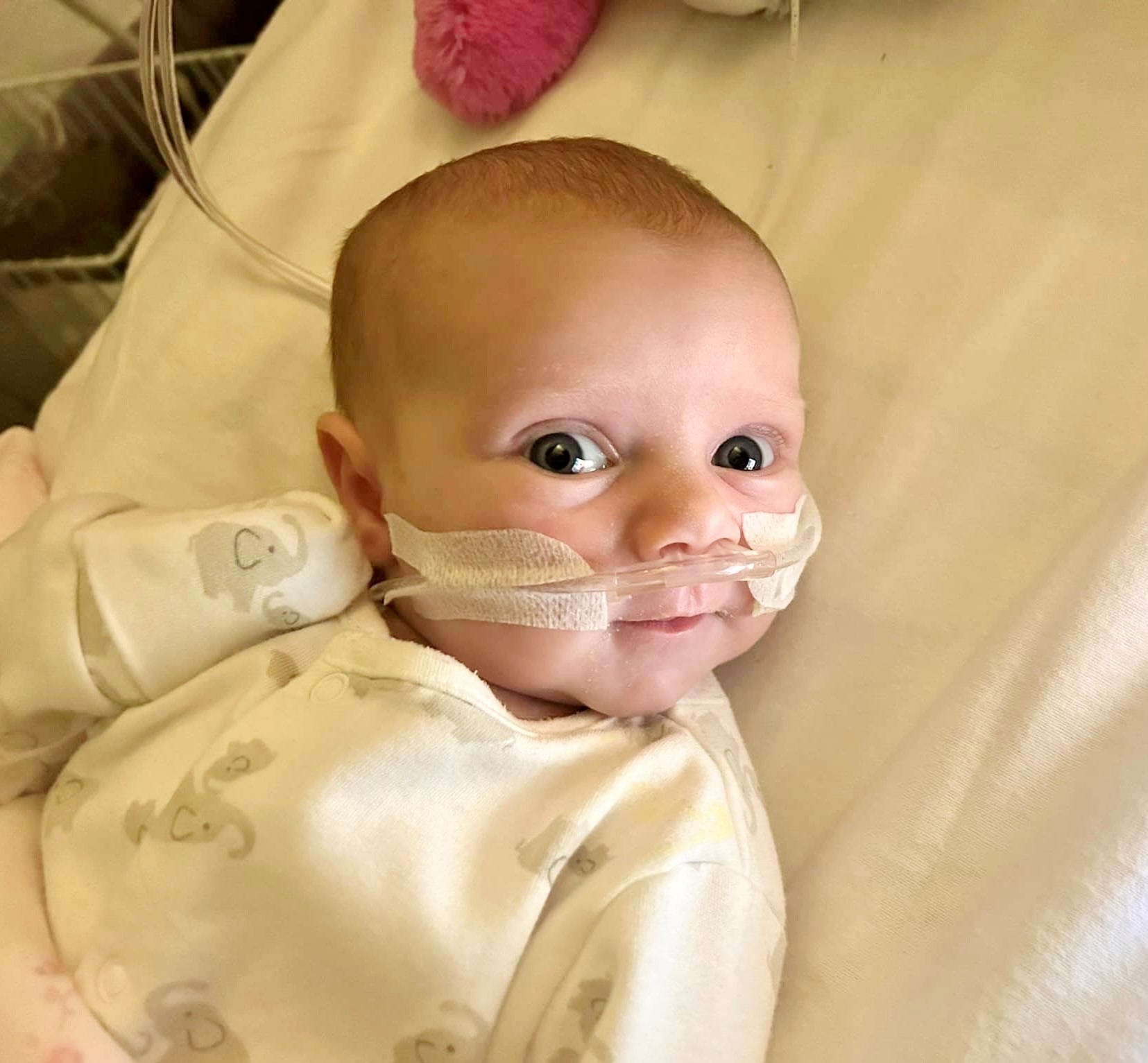 Children's Heart Federation | Daisy’s story